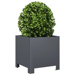 vidaXL Jardinières 2 Pièces anthracite 30x30x30 cm acier