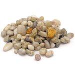 Ubbink Gravier d’étang 10 kg 8-12 mm 1373125