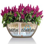 Lechuza jardinière cubeto color 30 all-in-one beige sable 13831