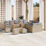 Set de Canapés de Jardin 14 Pièces avec Coussins Beige Rattan Synthétique Acacia