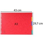 Intercalaires Carte Lustrée 400g 5 Positions - A3 - Couleurs Assorties - X 20 - Exacompta