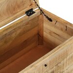 vidaXL Coffre de rangement Bois massif de manguier brut