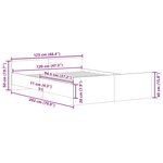 vidaXL Cadre de lit sans matelas chêne fumé 120x200 cm