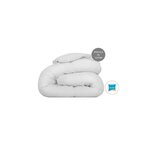 ABEIL Couette - 240 x 260 - Blanc