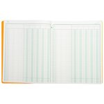 Piqûre 32x25cm 5 Colonnes Sur 1 Page 31 Lignes 80 Pages - Couleurs Assorties - Exacompta