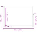vidaXL Auvent latéral rétractable de patio 200x300 cm Noir