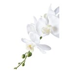 Plante artificielle Orchidée verte et blanche 49 cm