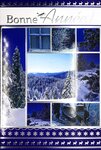 Lot 10 cartes identiques bonne année meilleurs vœux avec 10 enveloppes blanches