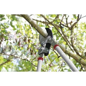 GREENGERS Cisaille a branche démultipliée
