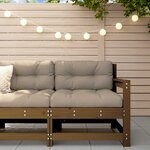 vidaXL Chaise de jardin avec coussins marron miel bois de pin massif