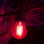 HQ POWER Guirlande lumineuse à LED 5 m