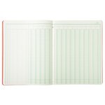 Piqûre 32x25cm 15 Colonnes Sur 2 Pages 33 Lignes 80 Pages - Couleurs Assorties - Exacompta