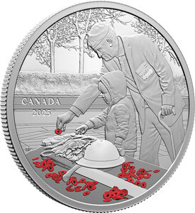 Pièce de monnaie en Argent 20 Dollars g 31.39 Millésime 2023 REMEMBRANCE DAY