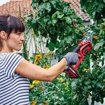Einhell Scie d’élagage sans fil "GE-GS 18 Li-Solo"