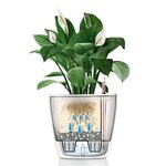 LECHUZA Jardinière CLASSICO LS 35 ALL-IN-ONE blanc brillant 16060