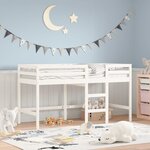 vidaXL Lit mezzanine d'enfants sans matelas avec échelle 80x200 cm