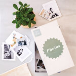 50  Feuilles  Paph Br 240G 13X18