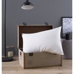 Oreiller grand luxe Quallofil Allerban 50 x 70 cm