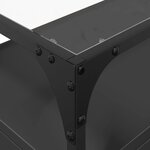 vidaXL Meuble TV et dessus en verre noir 80x35x51 cm bois d'ingénierie