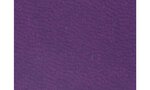 Agenda Planning Exaplan 17 Winner accordéon Répertoire 175x80 mm Coloris Aléatoire EXACOMPTA