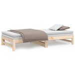 vidaXL Lit coulissant 2x(80x200) cm Bois de pin massif