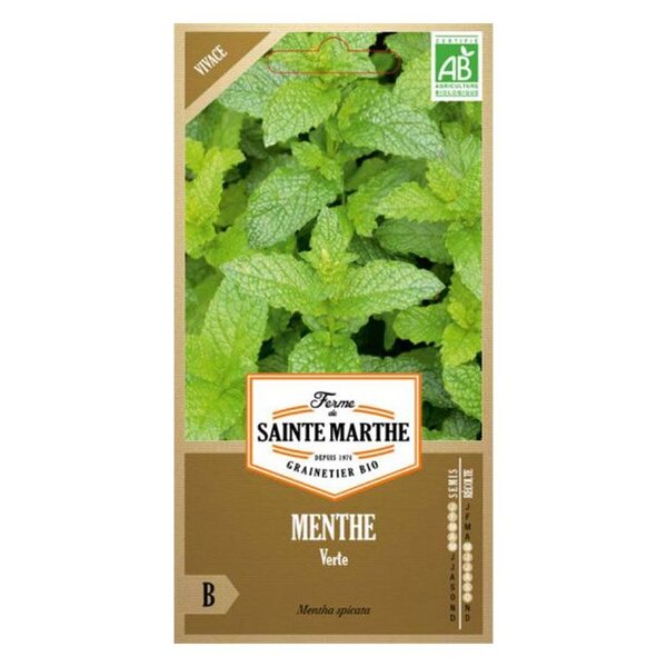 Graines à semer - Menthe verte bio