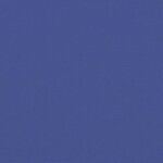 vidaXL Auvent latéral rétractable bleu 117x300 cm