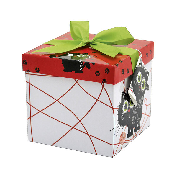 Boîte cadeau avec nœud - motifs petit chat