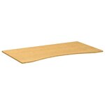 vidaXL Dessus de bureau 100x60x1 5 cm bambou