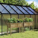 vidaXL Jardinières 2 Pièces avec pieds bois de pin imprégné