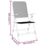 vidaXL Chaises pliables jardin lot de 2 Maille métallique Anthracite