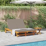 Transat double vidaXL avec roulettes et coussin en bois d'acacia