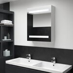 vidaXL Armoire de salle de bain à miroir LED 50x13 5x60 cm