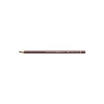 Crayon de couleur Polychromos brun van Dyck FABER-CASTELL