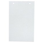 Étui de 100 fiches bristol blanc quadrillé 5x5 perforé 125x200mm Blanc EXACOMPTA