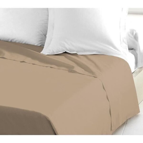 Drap Plat 100  coton 240 x 300 cm beige