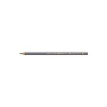 Crayon de couleur Polychromos gris froid IV FABER-CASTELL