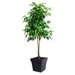 Pot de fleur carré - 39 x 39 x 39 cm - 38 L - Gris anthracite