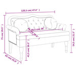 vidaXL Banc avec coussins gris clair 120 5x65x75 cm velours