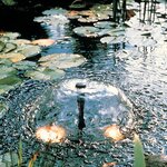 Ubbink Pompe de fontaine Xtra 900 1351950