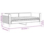 vidaXL Lit de jour avec matelas noir 90x200 cm velours