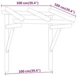 vidaXL Auvent de porte 100x100x80 cm Bois de pin massif imprégné