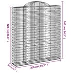 vidaXL Paniers à gabions arqués 20 Pièces 200x50x220/240 cm Fer galvanisé