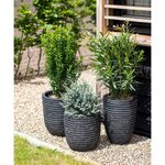 Capi Pot à fleurs Nature Row élégant bas 36x47 cm anthracite KRWZ782