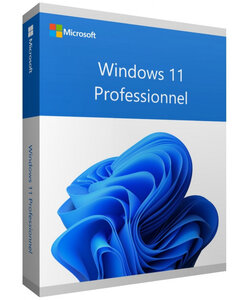 Microsoft Windows 11 Professionnel (Pro) - 64 bits - Clé licence à télécharger