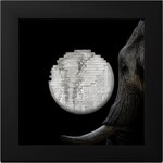 Pièce de monnaie en Argent 10 Dollars g 62.2 (2 oz) Millésime 2024 Reconstruction ELEPHANT