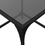 vidaXL Tables basses avec dessus en verre noir 2 Pièces 50x50x40 cm acier