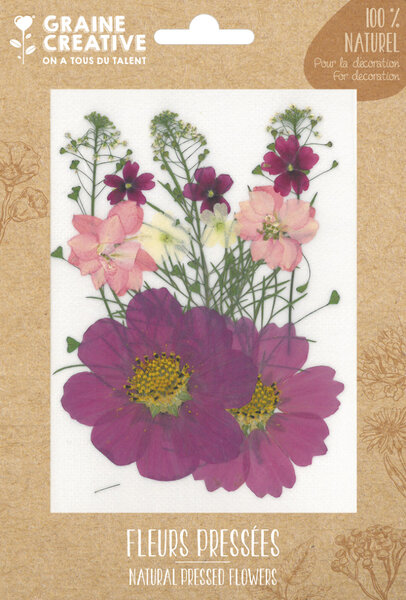 Fleurs Pressées Prairie Parme 14 pièces
