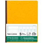 Piqûre 32x25cm 5 Colonnes Sur 1 Page 31 Lignes 80 Pages - Couleurs Assorties - Exacompta