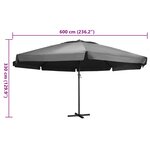 vidaXL Parasol de jardin avec mât en aluminium 600 cm anthracite